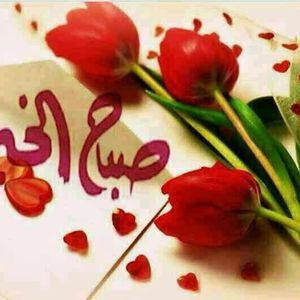 Meet your Posher, Lili lolla